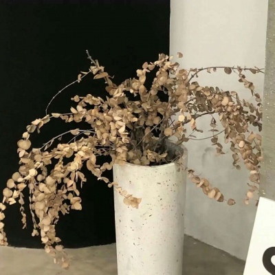 五峰福瑞交流群